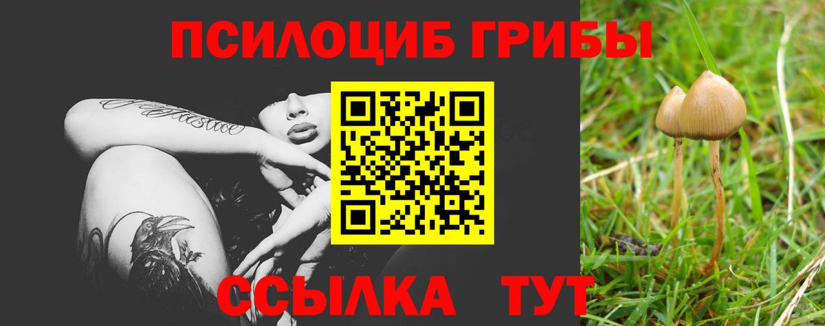 Галлюциногенные грибы Psilocybine cubensis  Вход с VPN  Малгобек 